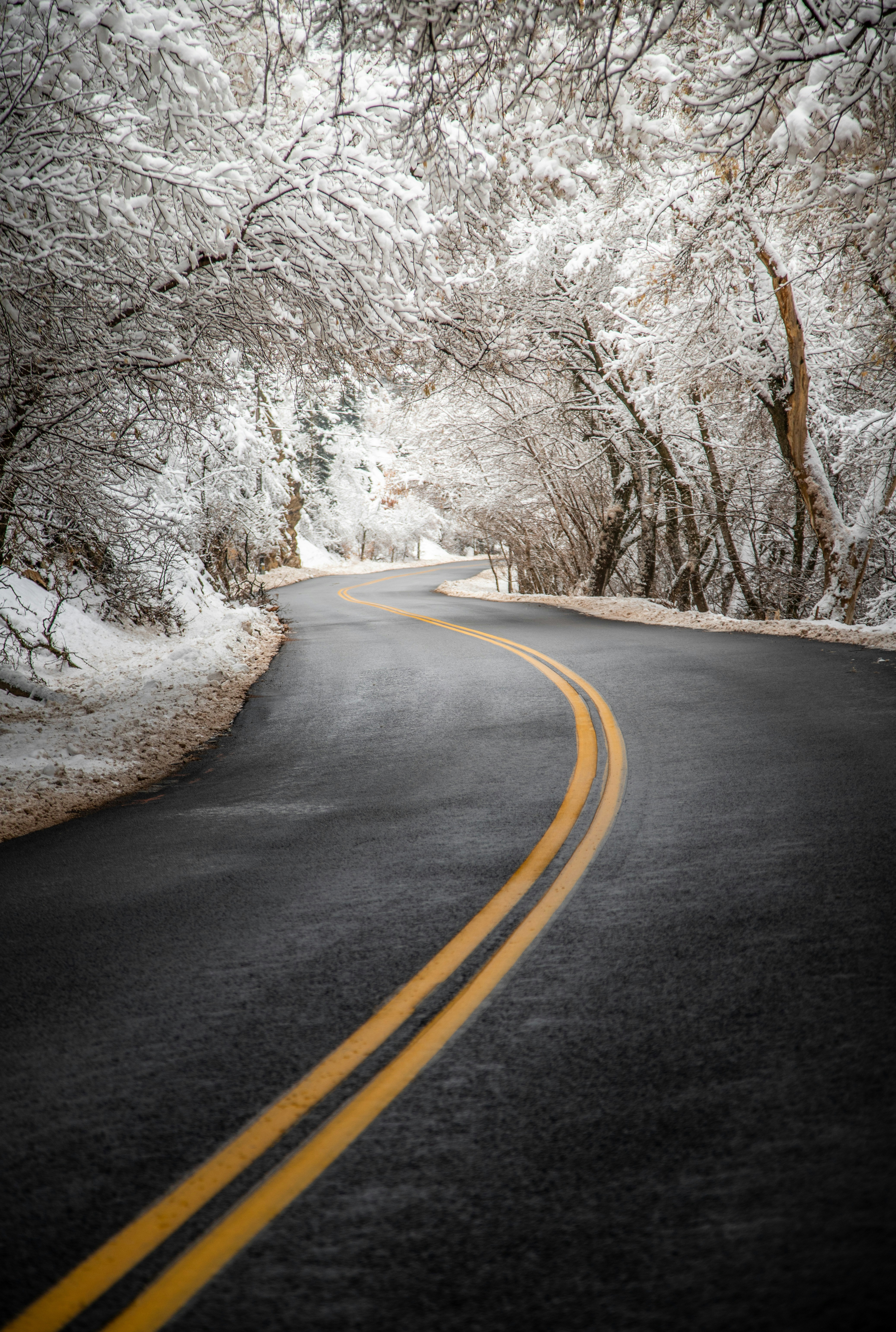 Photo by capturelight