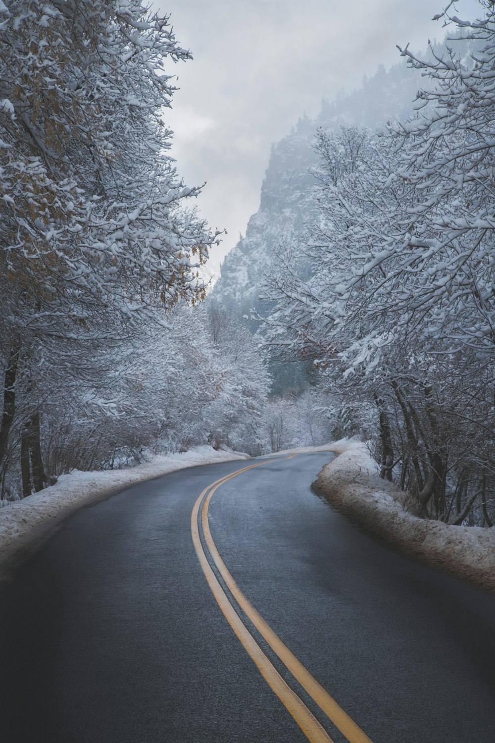 route goudronnée noire entre des arbres recouverts de neige pendant la journée