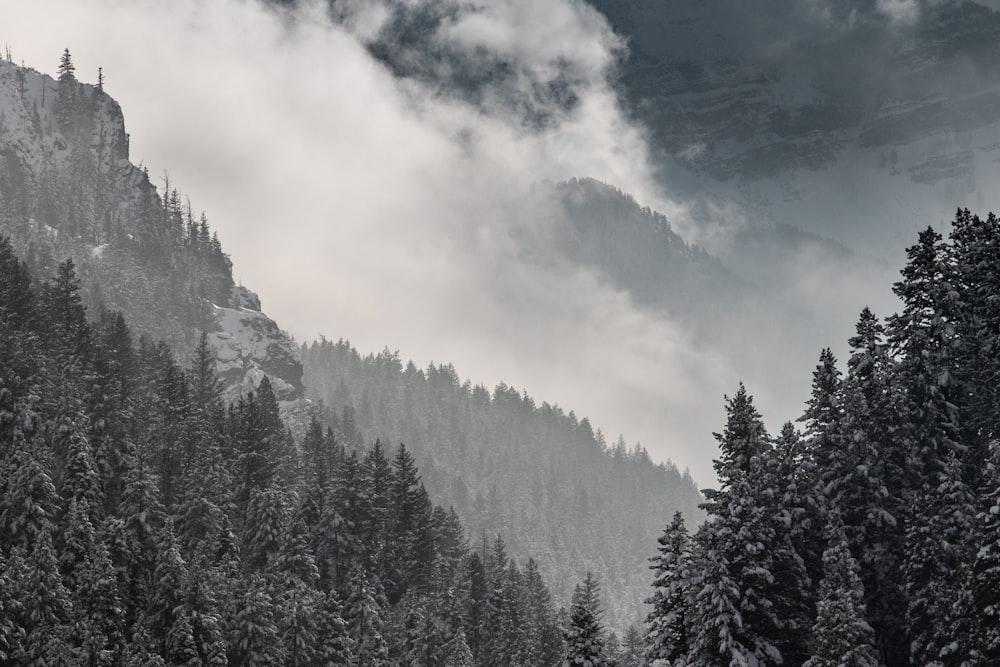 árvores verdes na montanha sob nuvens brancas durante o dia