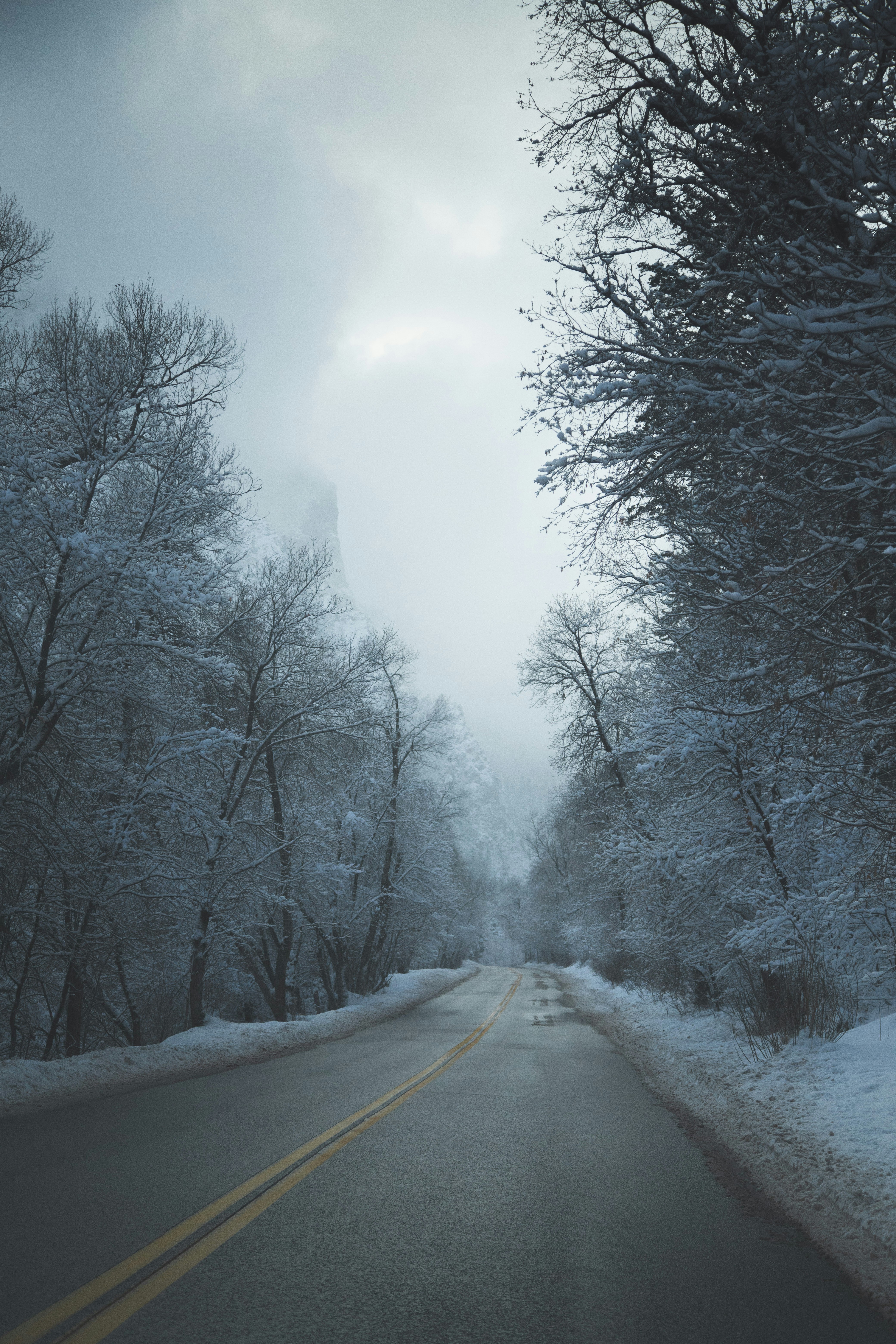 Photo by capturelight