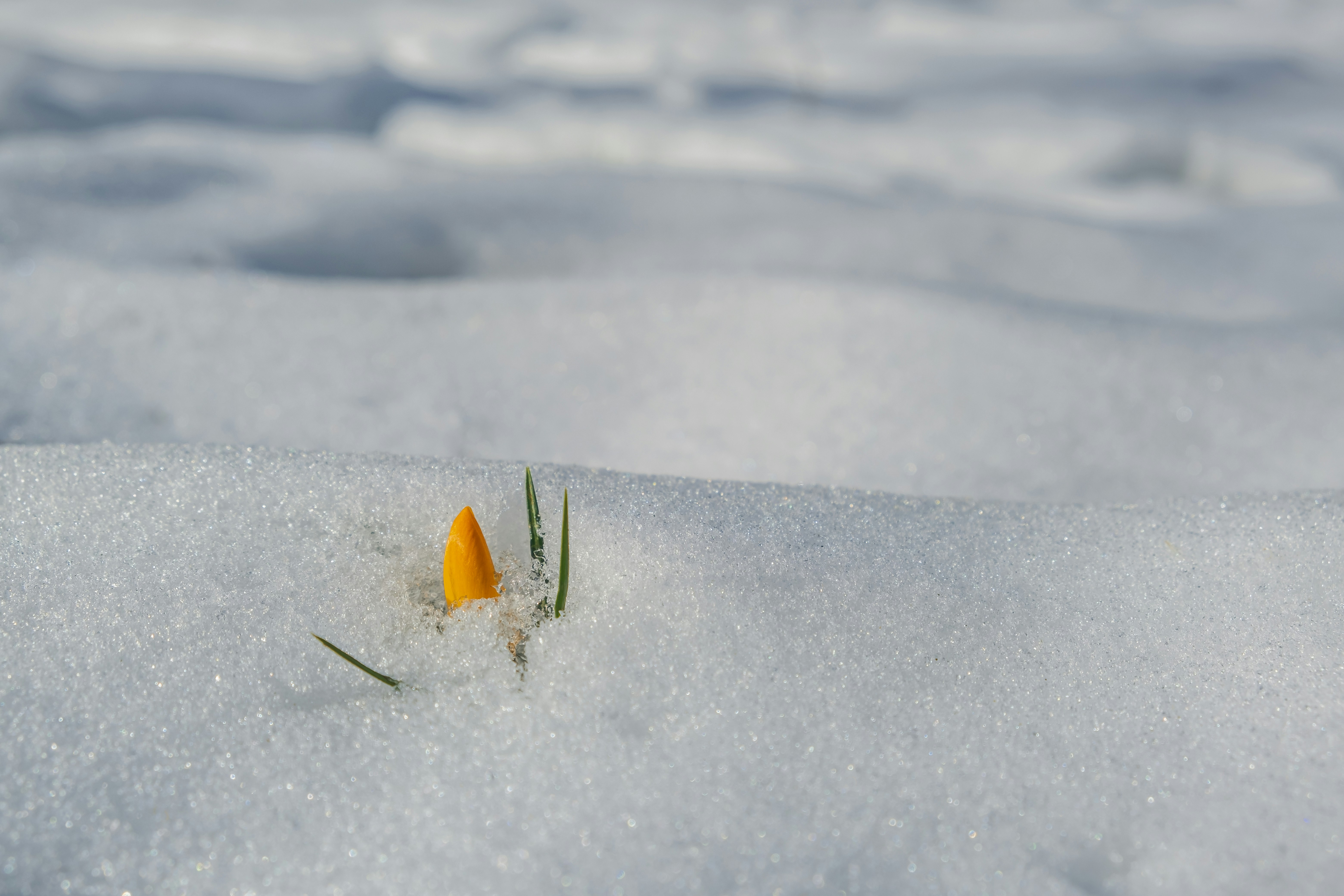 Photo by couleuroriginal