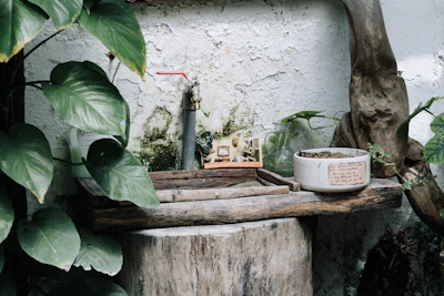 A vintage outdoor console table adorned with potted plants and rustic decor.