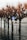 A row of bare trees standing in floodwater, with street signs partially submerged. The setting appears to be an urban environment affected by high water levels, indicating either a recent flood or a seasonal water rise. The signs indicate pedestrian and cycling paths.