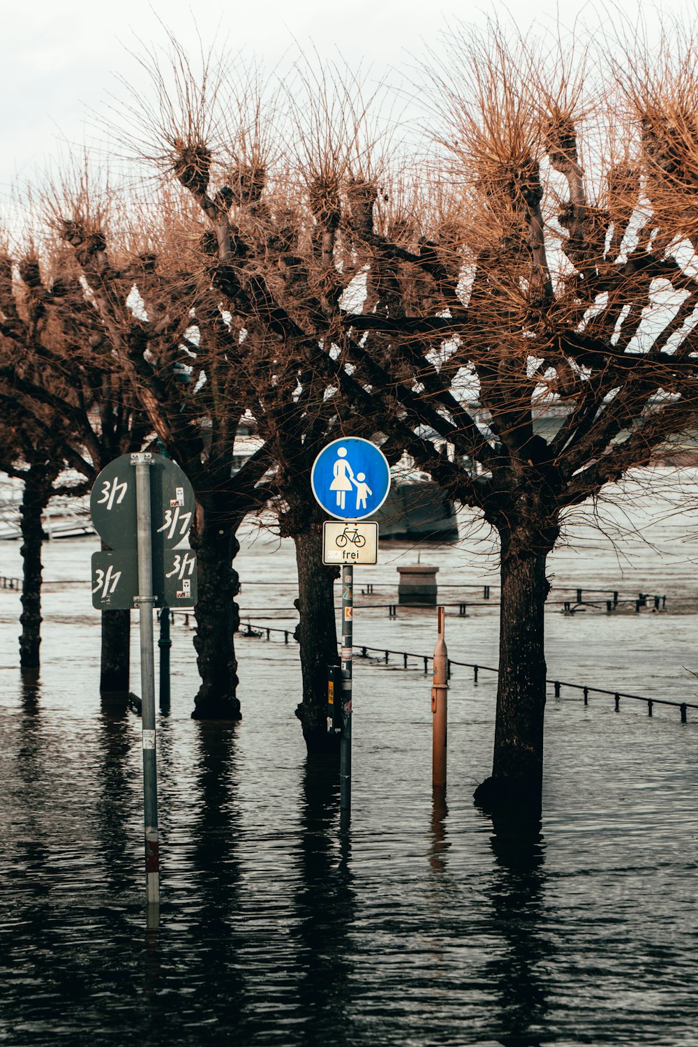 Señal de calle en blanco y negro cerca de árboles marrones durante el día