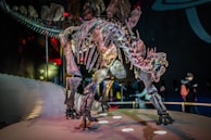 A large dinosaur skeleton with prominent plates along its back is displayed in a museum setting. The environment is dimly lit with spotlights accentuating the details of the fossilized bones. A few museum visitors are visible in the background, examining the exhibit.