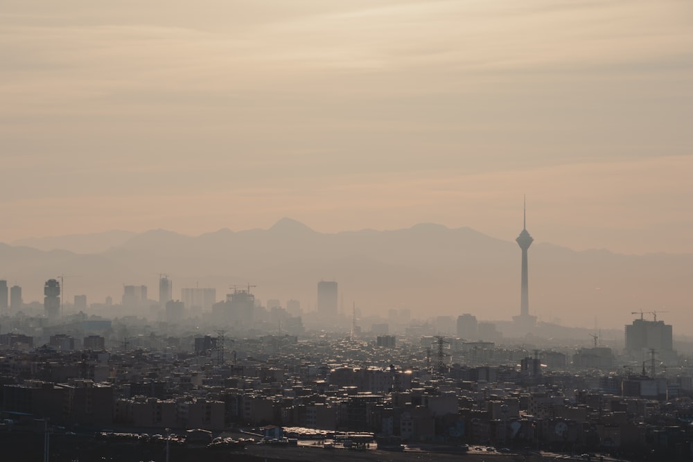 city skyline under white sky during daytime