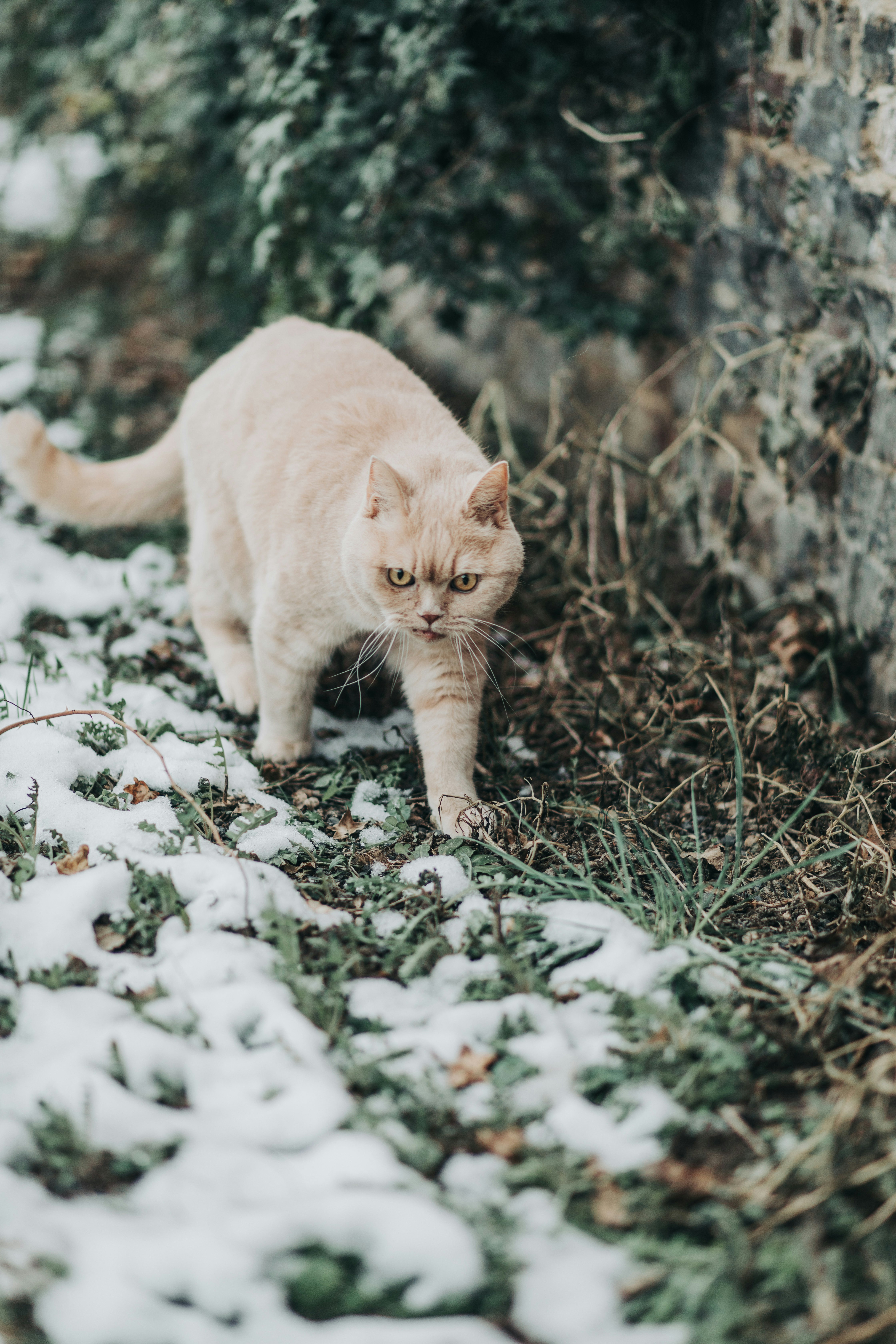 Photo by edelputte