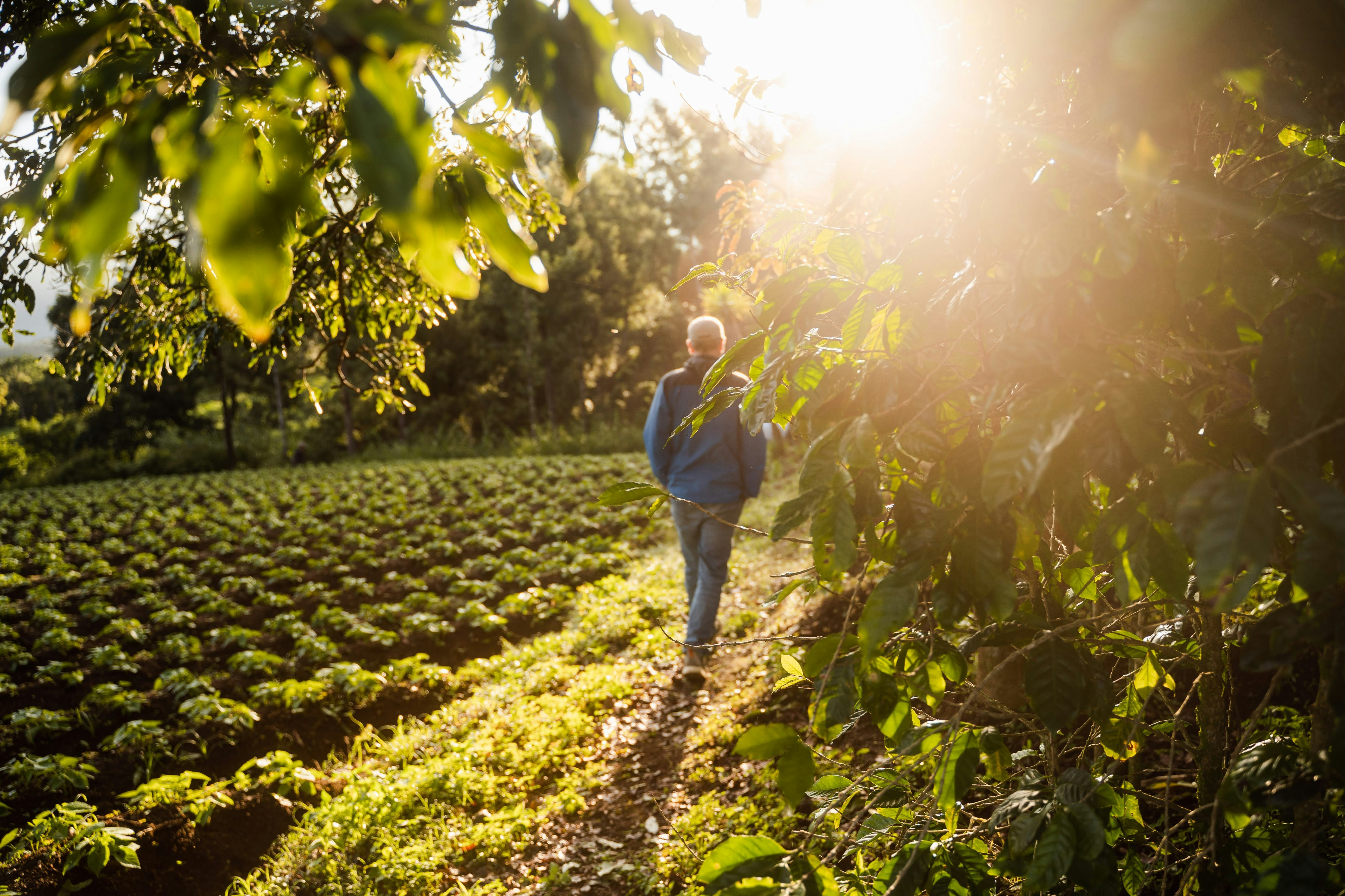 Photo by estebanbenites