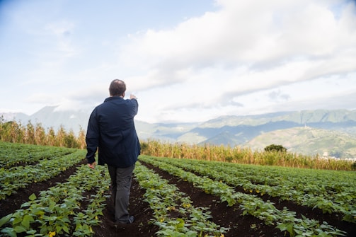 man in black jacket walking on green grass field during daytime