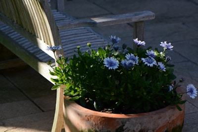 A ceramic flower pot with vibrant blooms sitting on a wooden patio table.