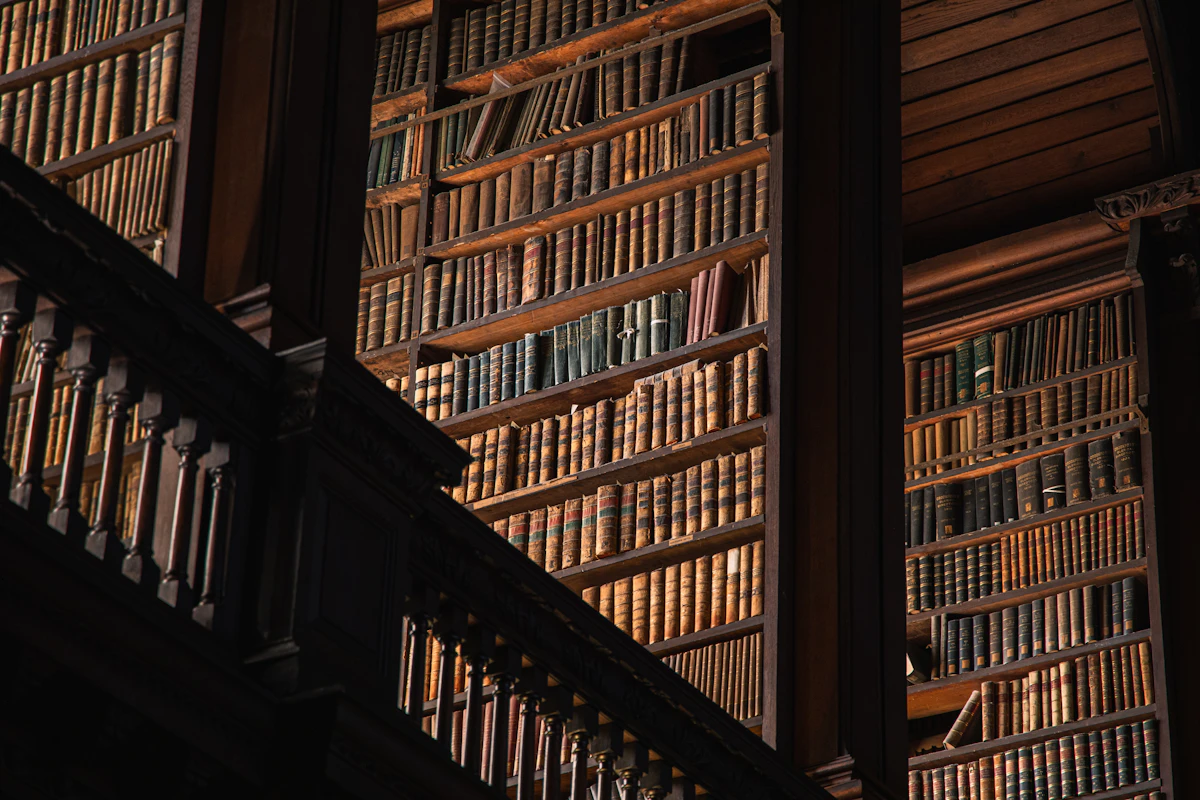 Library bookshelves with books