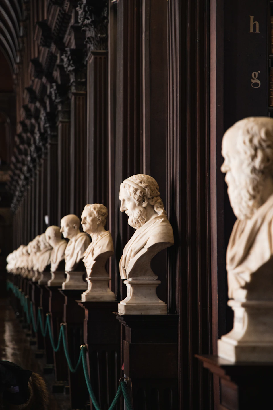 The image depicts a row of white marble busts, each meticulously crafted and positioned on wooden pedestals. The busts are arranged in a precise line, creating an orderly and symmetrical display. Each bust is facing towards the right side of the image, showcasing their intricate details and craftsmanship. The background features dark wood paneling that contrasts with the pristine white marble of the busts, enhancing the overall aesthetic appeal of the scene.