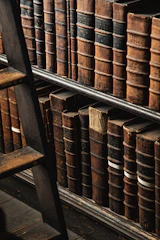brown wooden book shelf with books