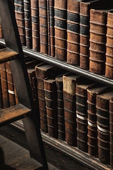 brown wooden book shelf with books