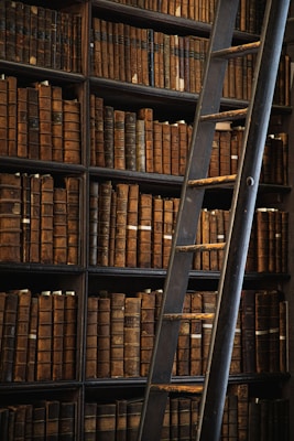 brown wooden book shelf with books