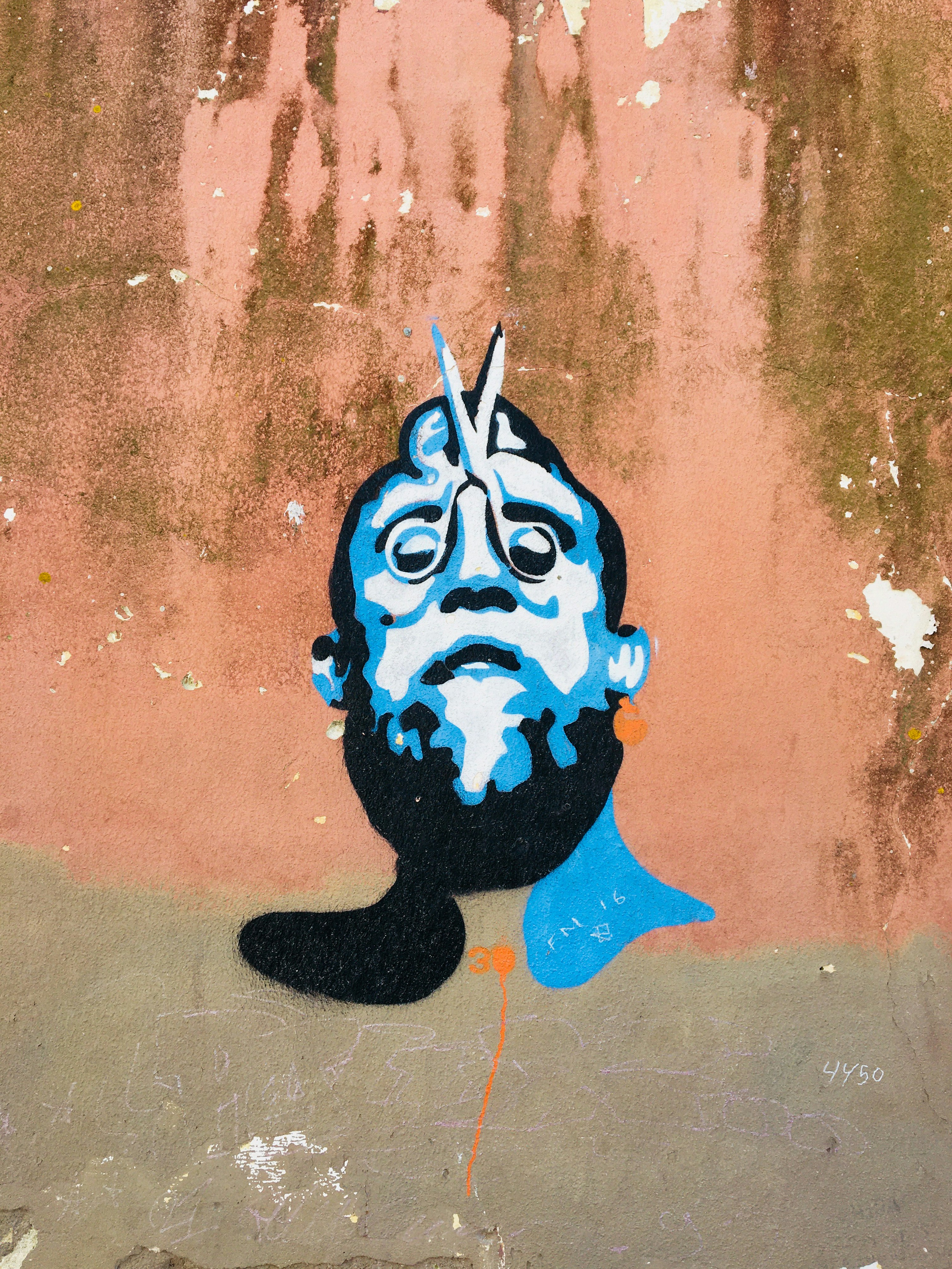 blue and white animal wall art photo Free Portugal Image on Unsplash