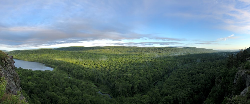 Campo de hierba verde bajo el cielo azul durante el día