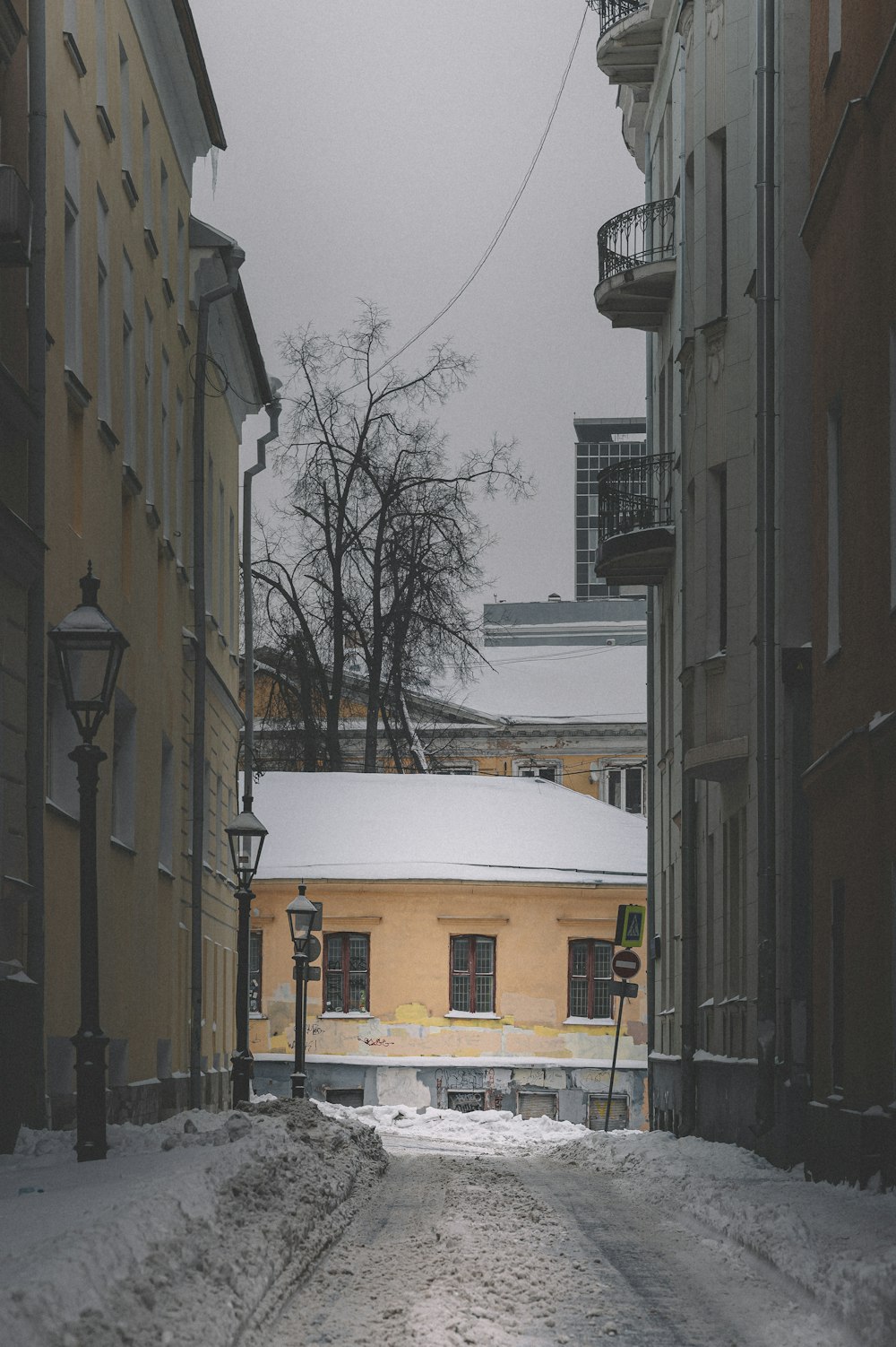 brown concrete building near bare trees during daytime