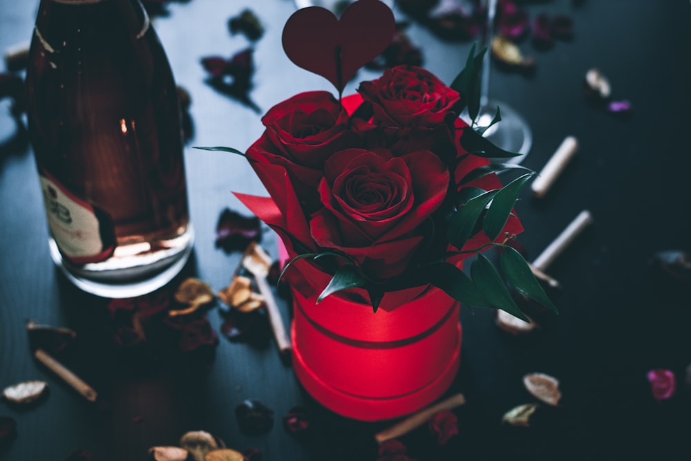 red rose in red glass vase