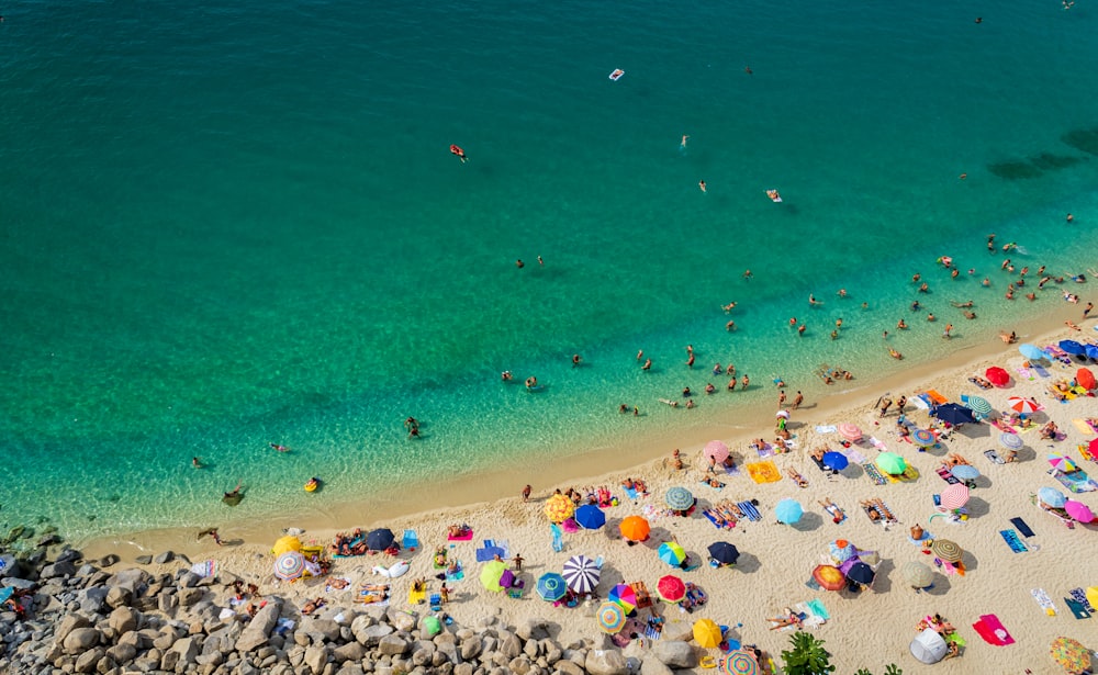 people on beach during daytime