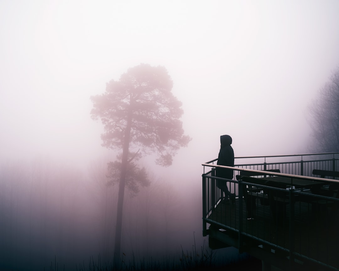 silhouette of person standing on bridge,