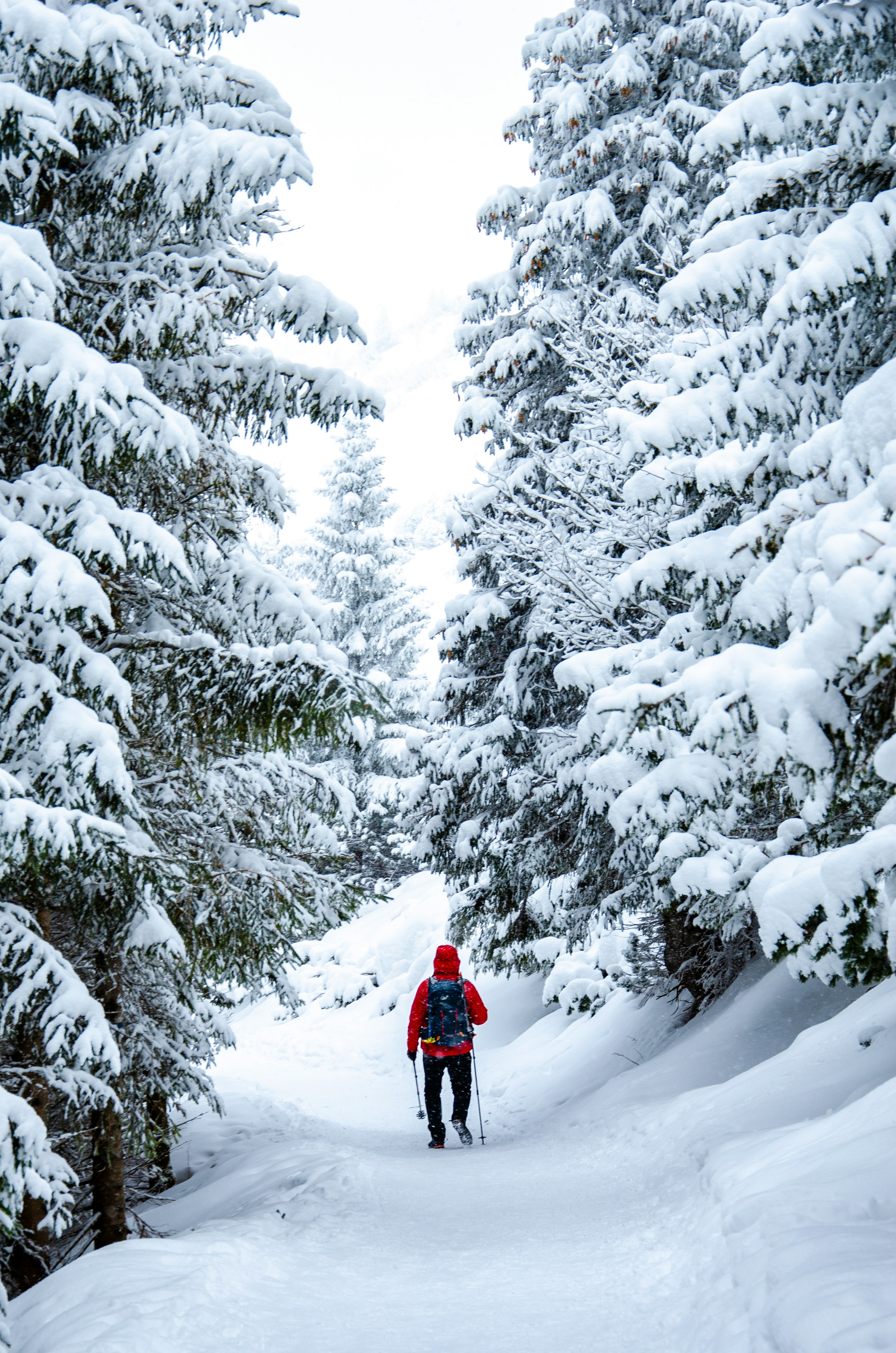 person in red jacket and black pants standing on snow covered ground near trees during daytime