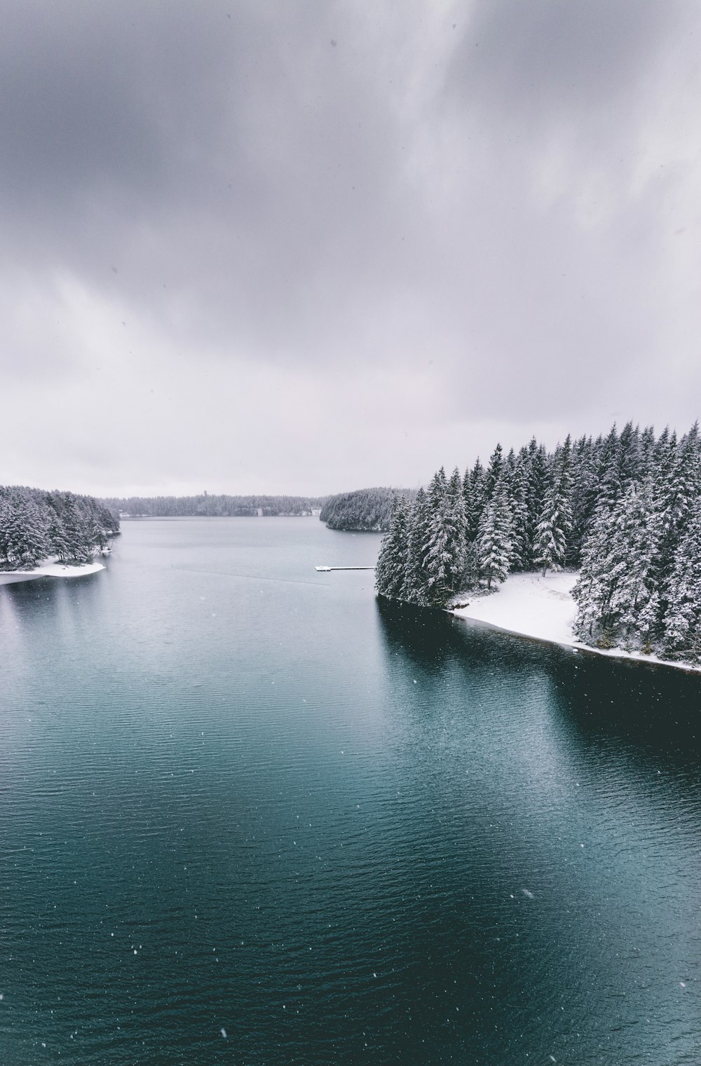 grayscale photo of lake surrounded by trees