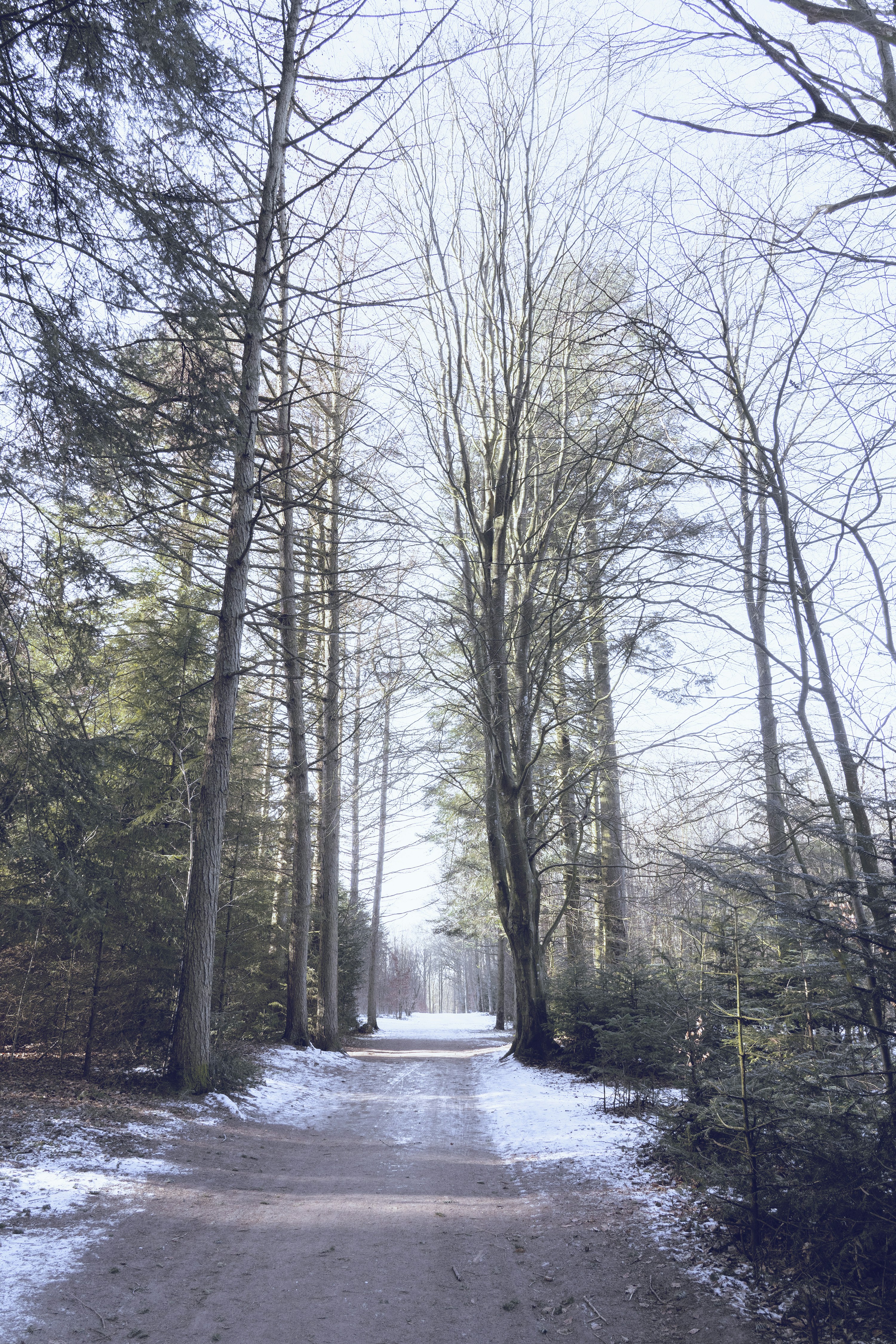 Photo by martin_dalsgaard