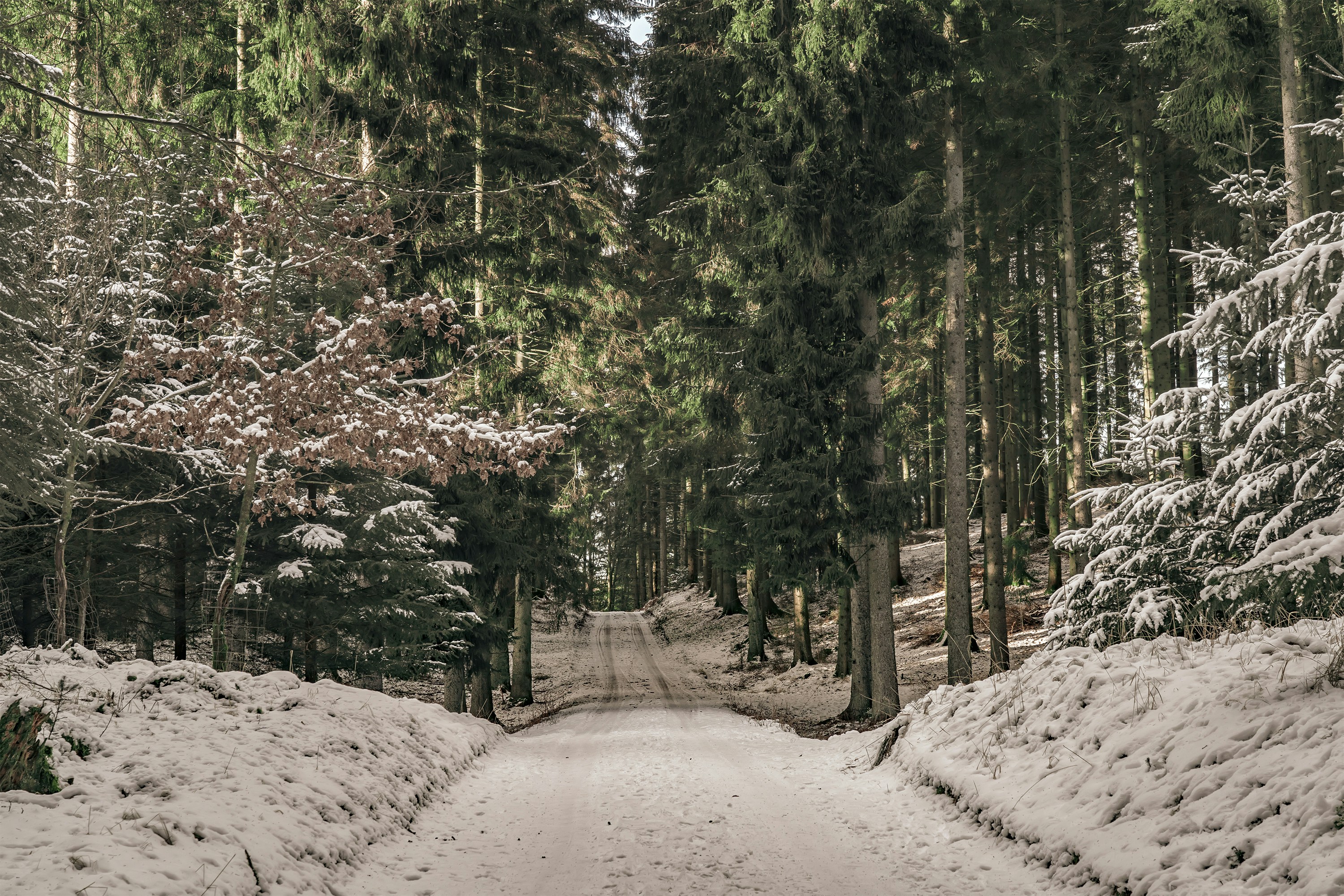 Photo by martin_dalsgaard