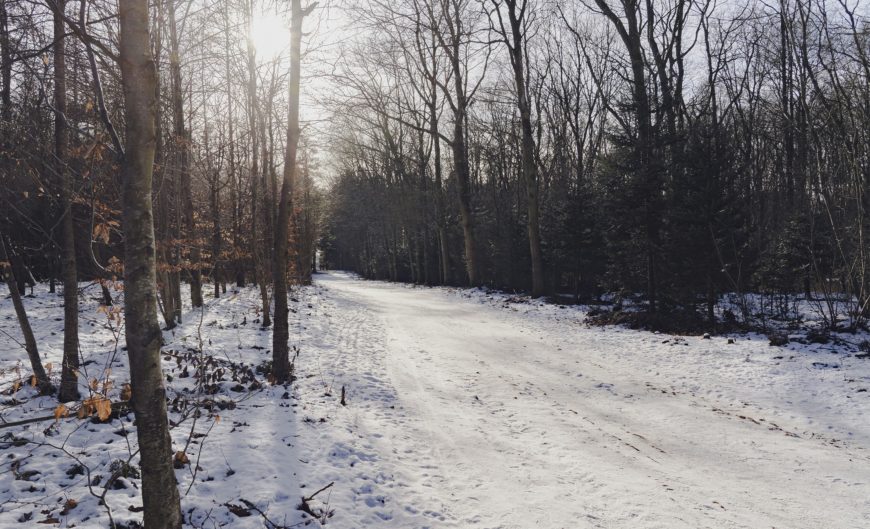 Photo by martin_dalsgaard