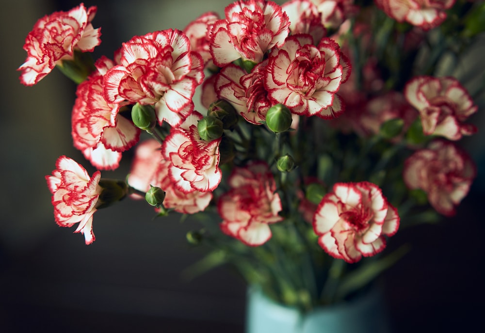 pink flowers in green ceramic vase