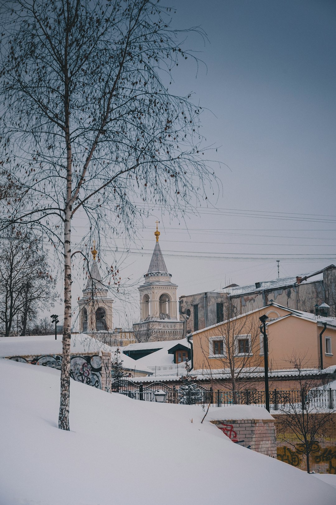 brown concrete building near bare trees during daytime