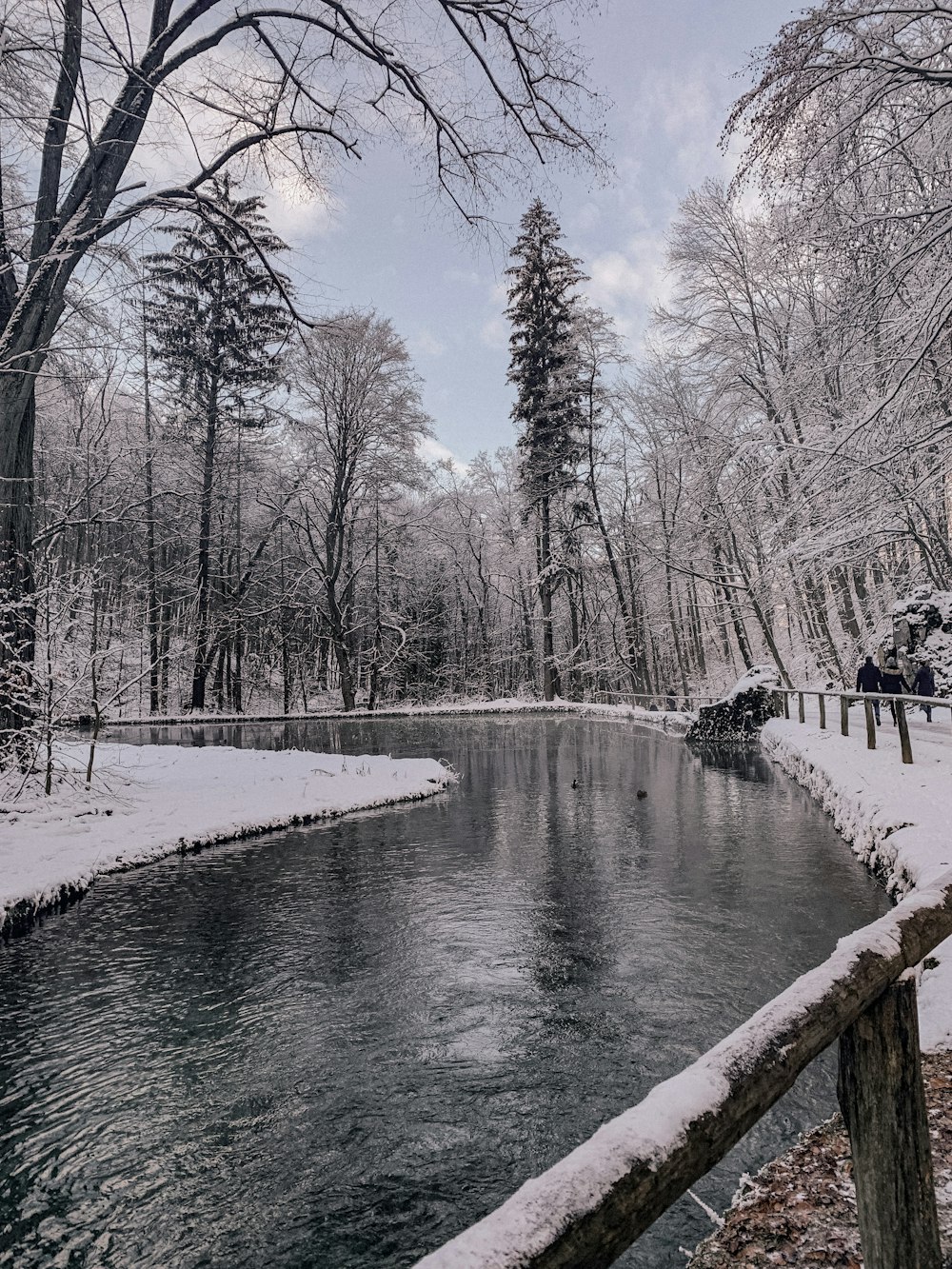 people walking on snow covered pathway between bare trees during daytime