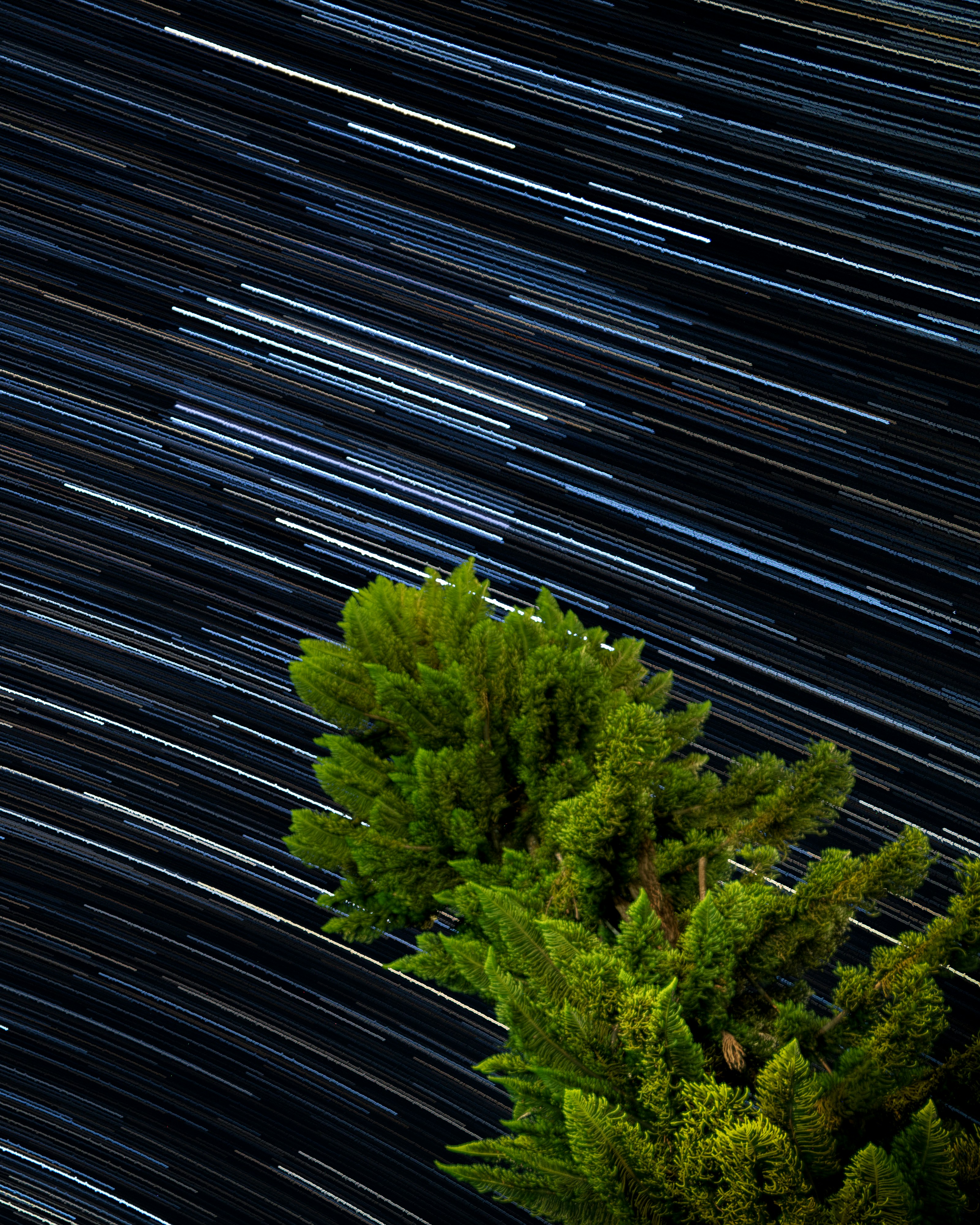 Beacons banner for @cola