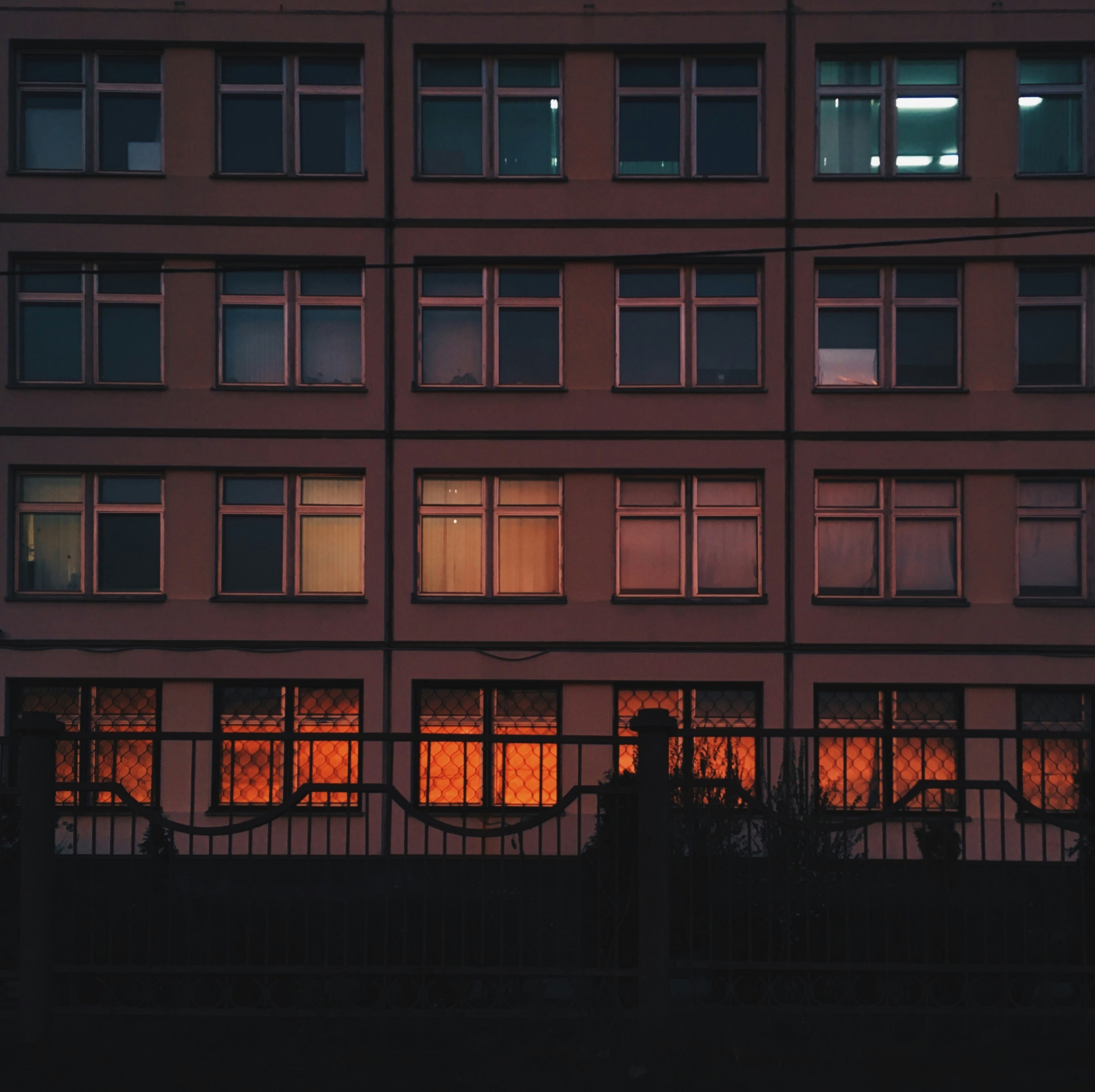 Photo by yuliahamster