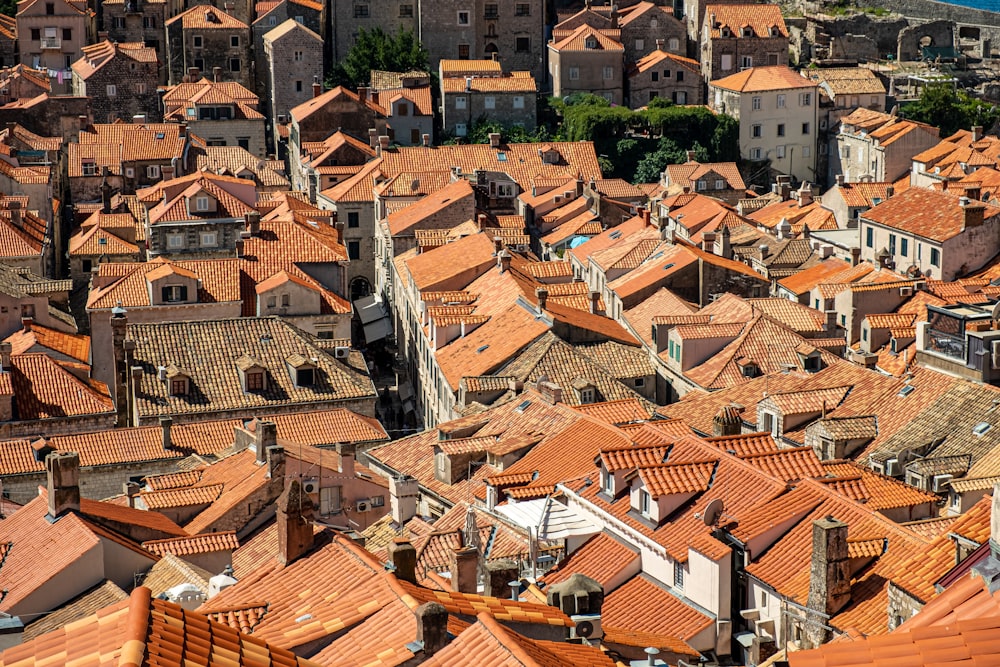 brown and white concrete houses during daytime