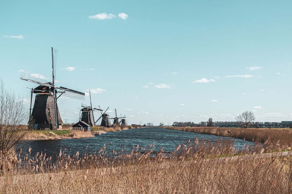 brown grass field near body of water during daytime