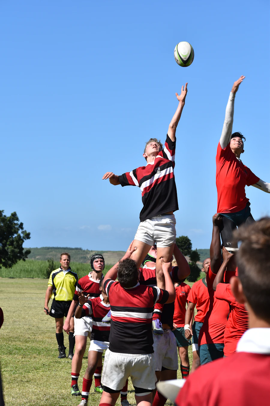 Club Hoops Rugby uniform design