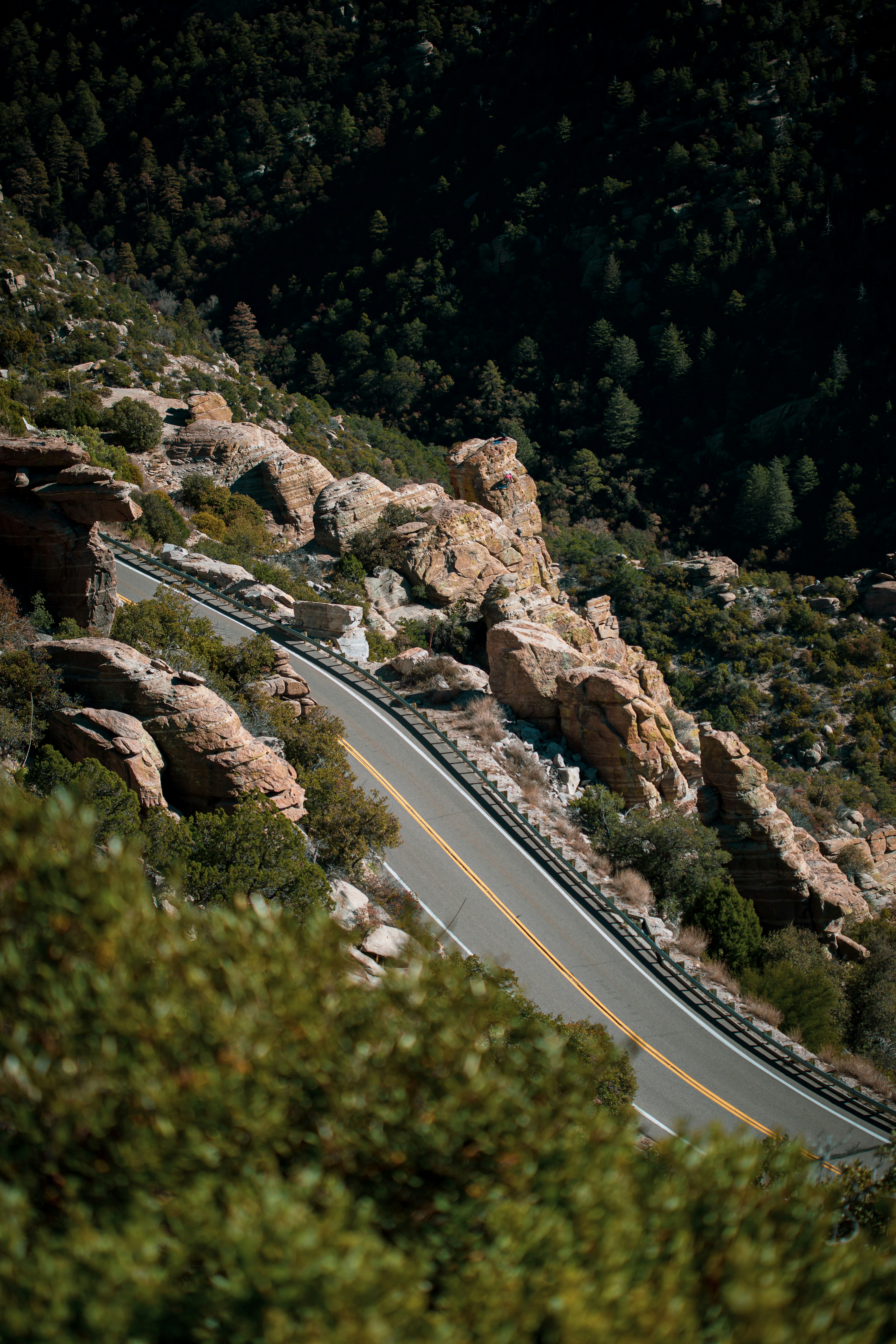 Photo by mannymisfit