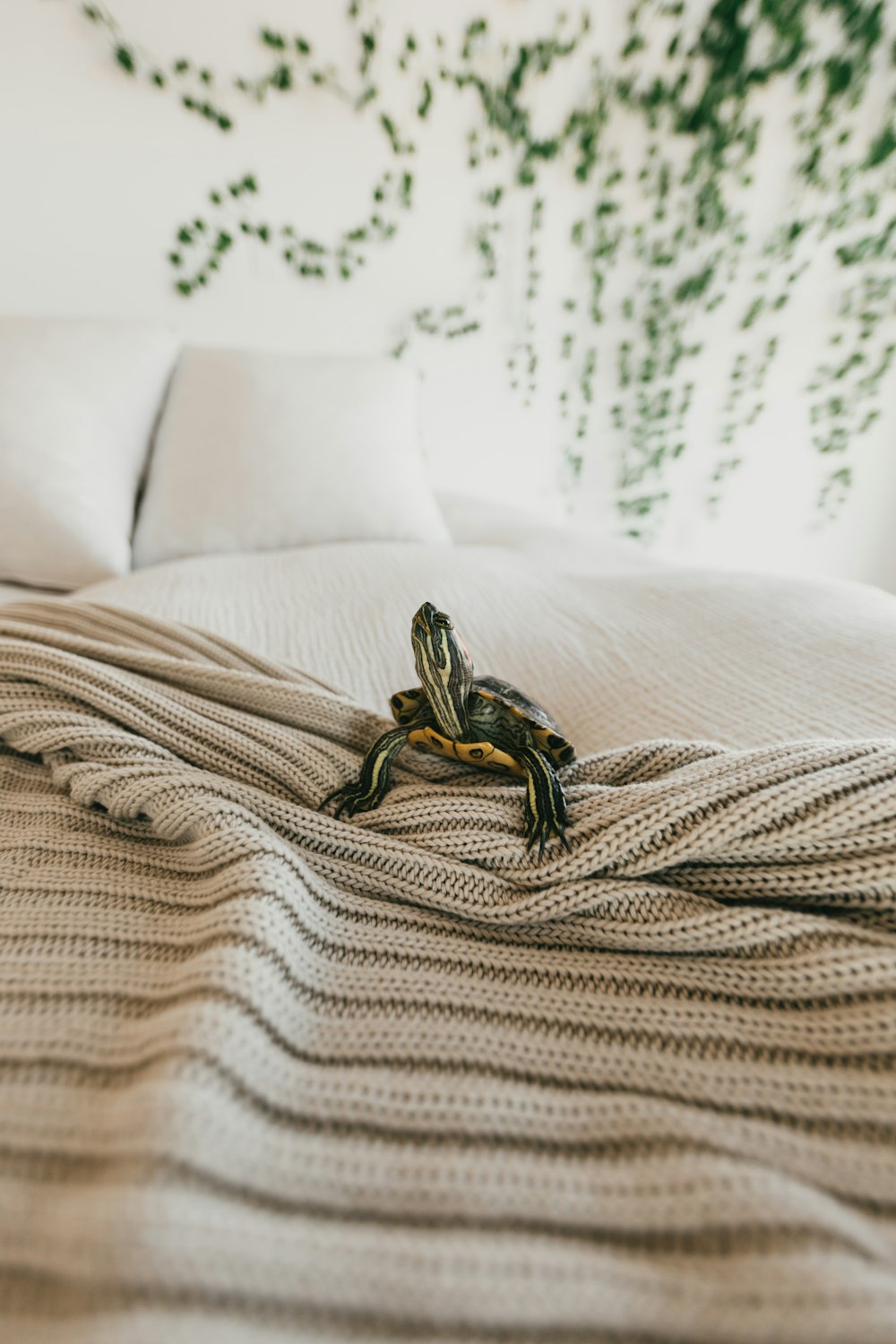 black and yellow snake on white bed