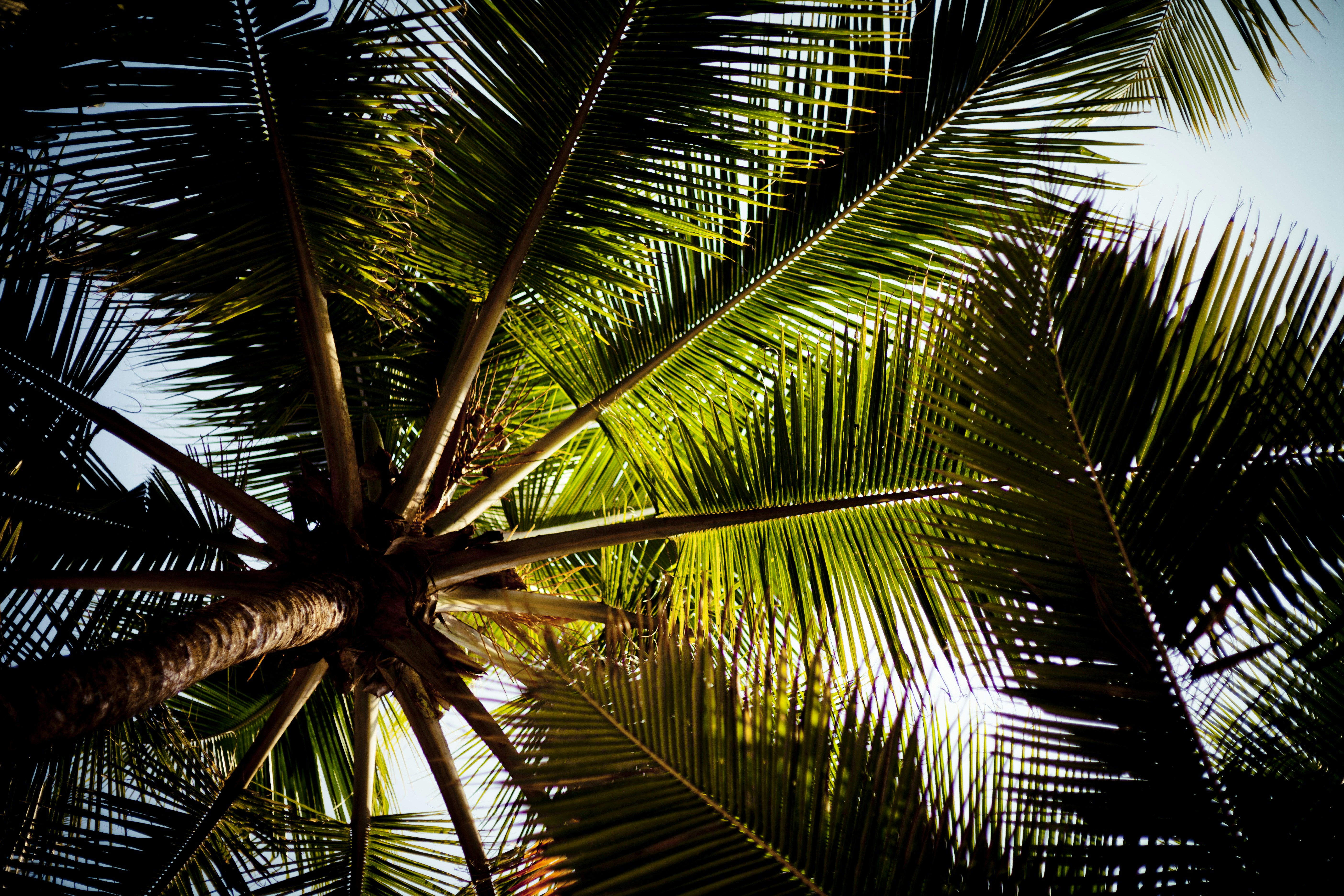 Photo by raimondklavins