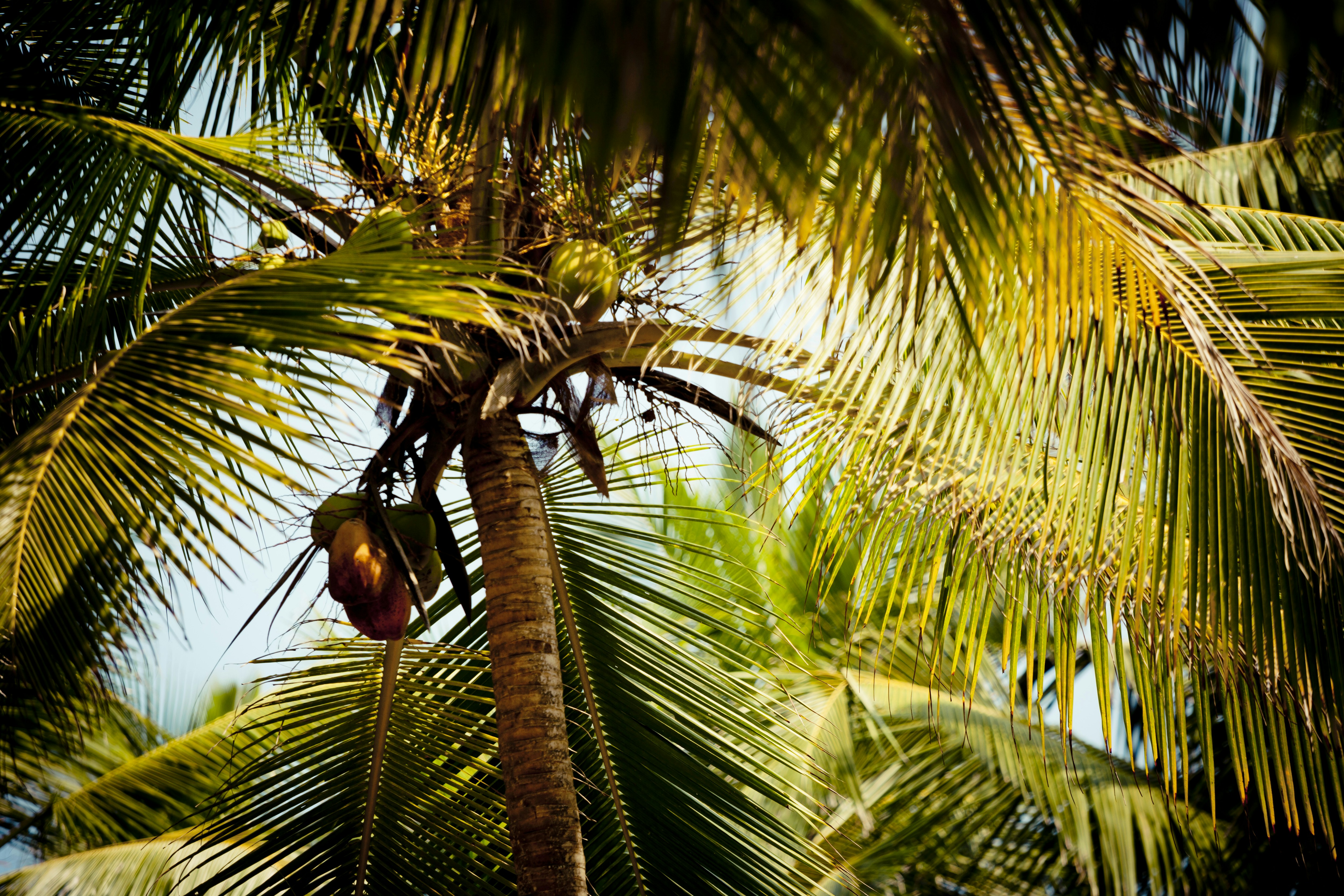 Photo by raimondklavins