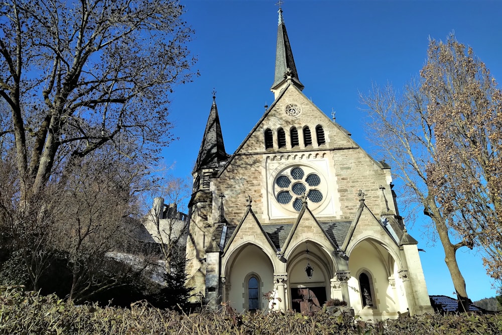 weiße und braune Kirche in der Nähe von kahlen Bäumen unter blauem Himmel tagsüber