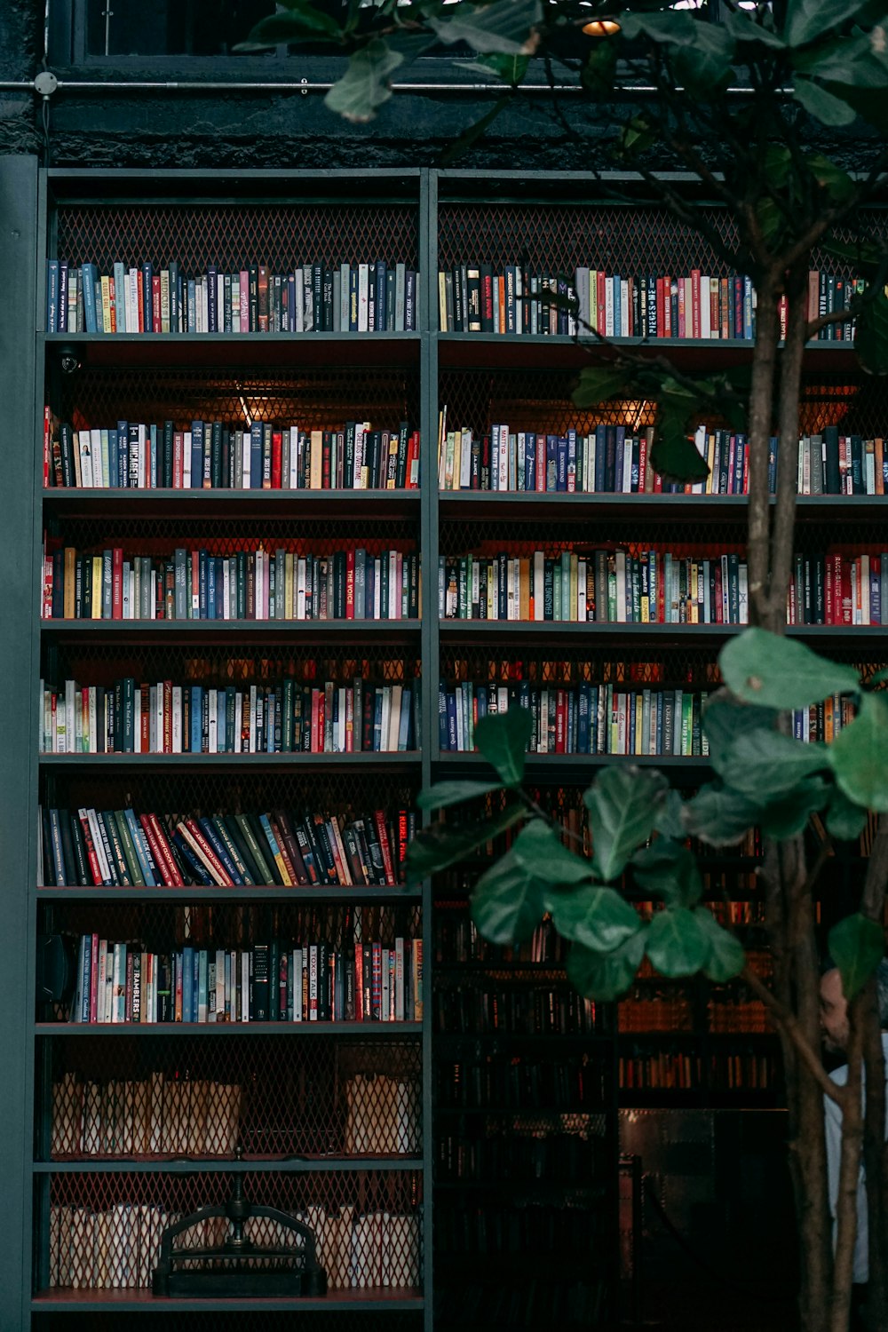 brown wooden book shelves with books