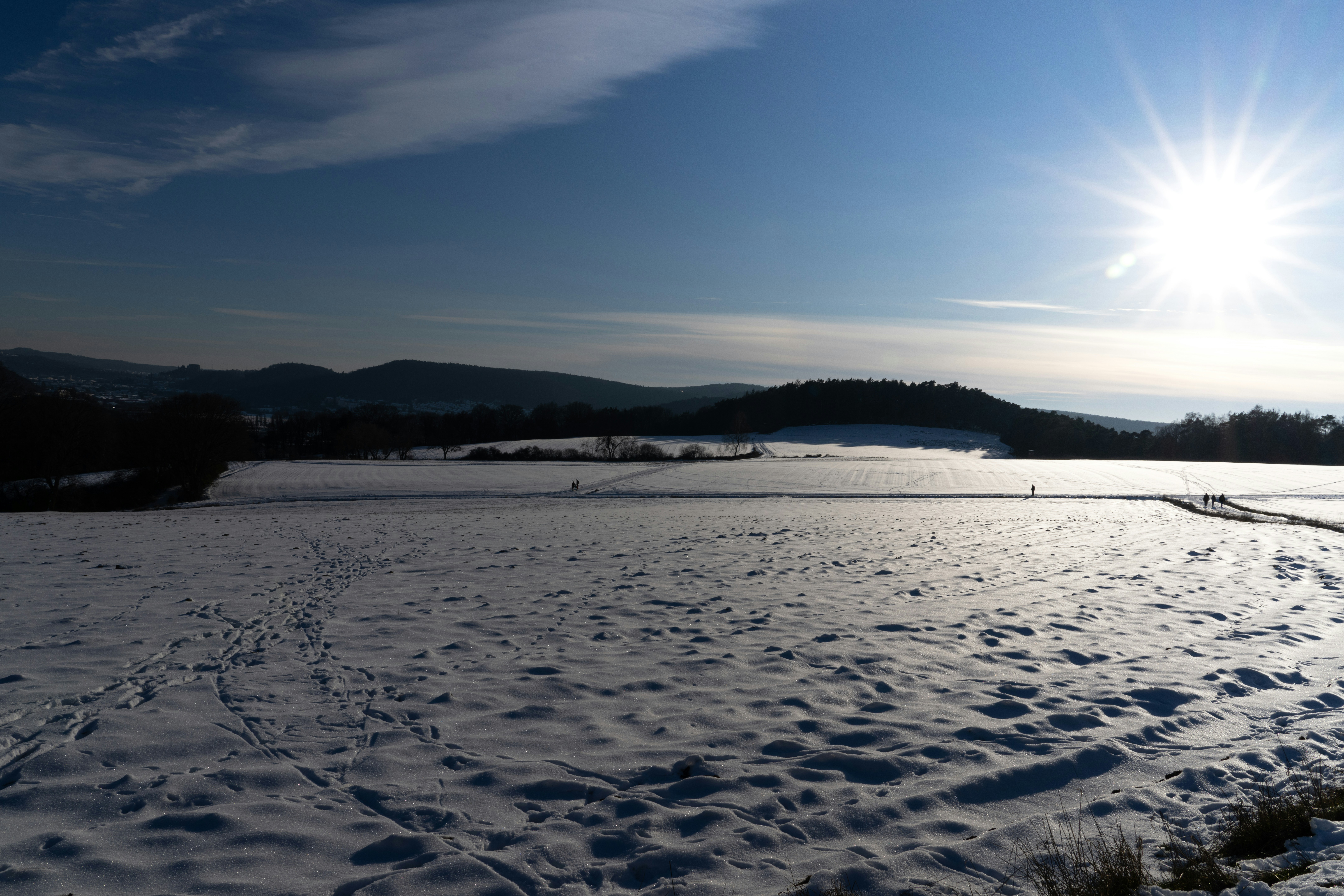 Photo by picture_scape