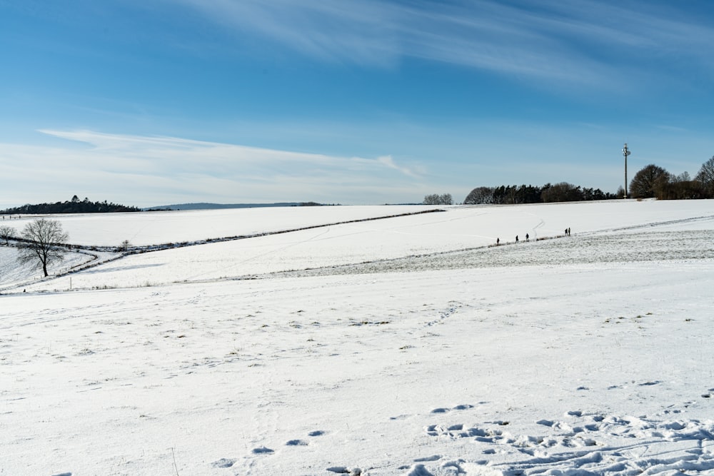 snow covered field under blue sky during daytime