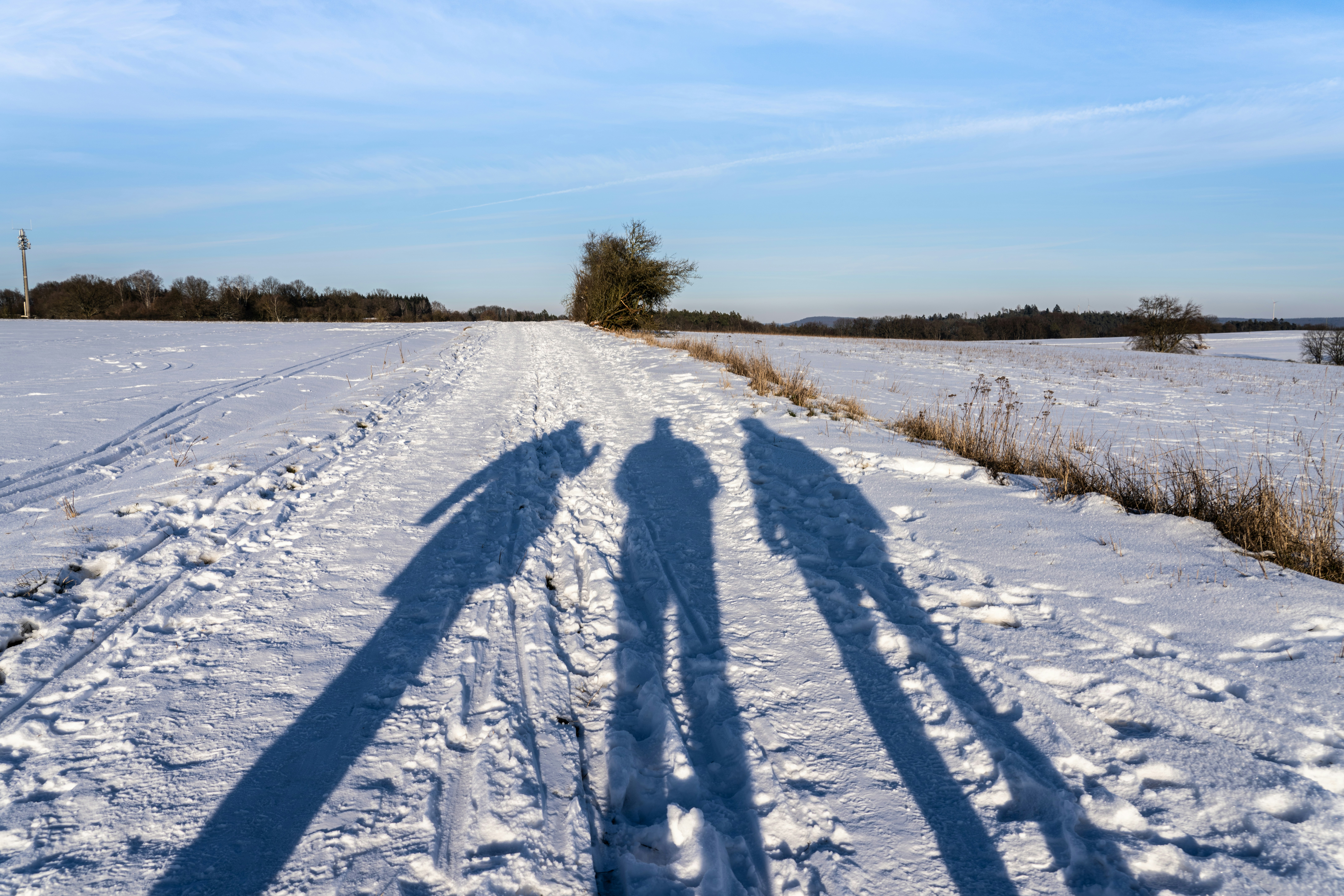 Schneebedecktes Feld unter blauem Himmel tagsüber