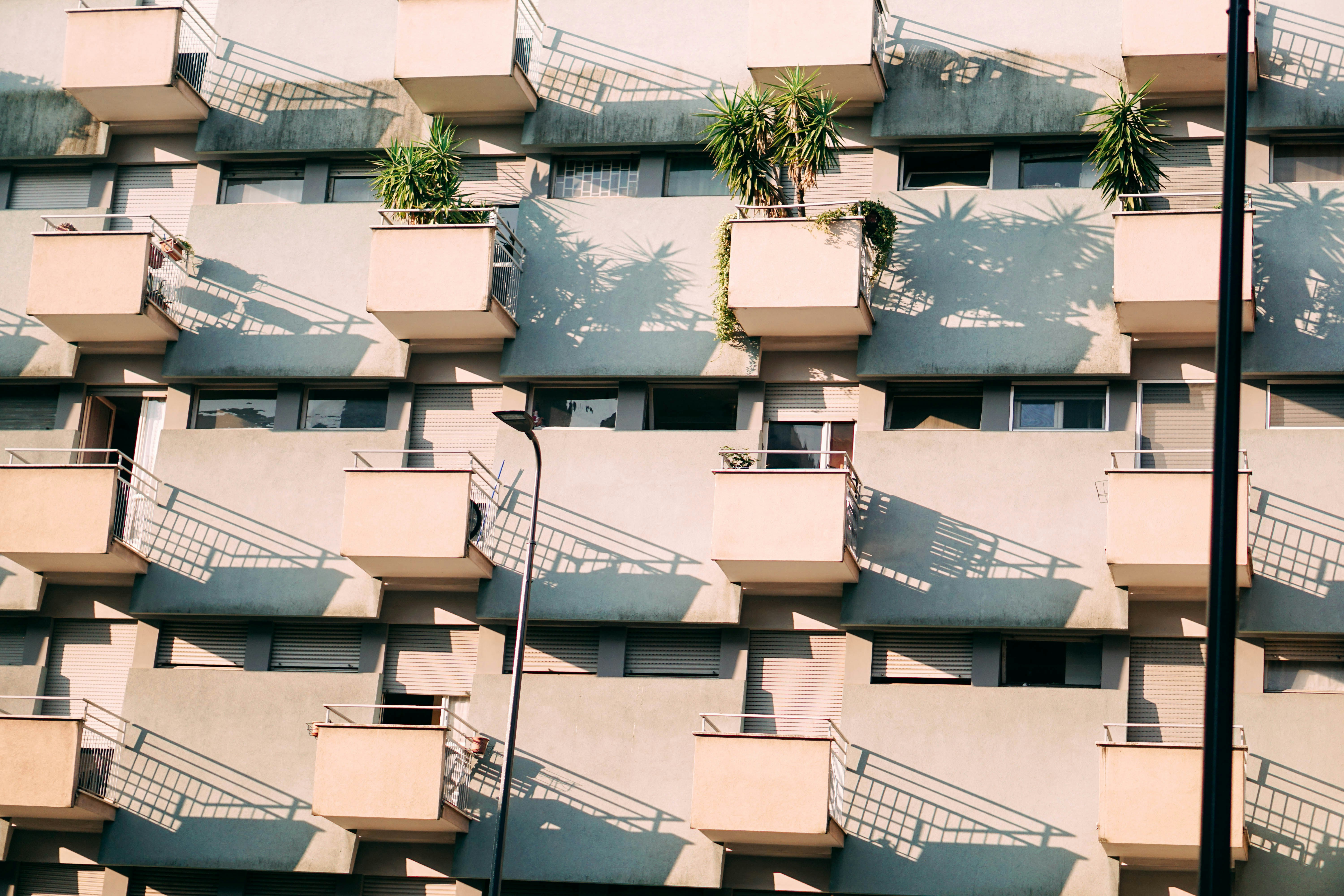 Photo by shushan_mln