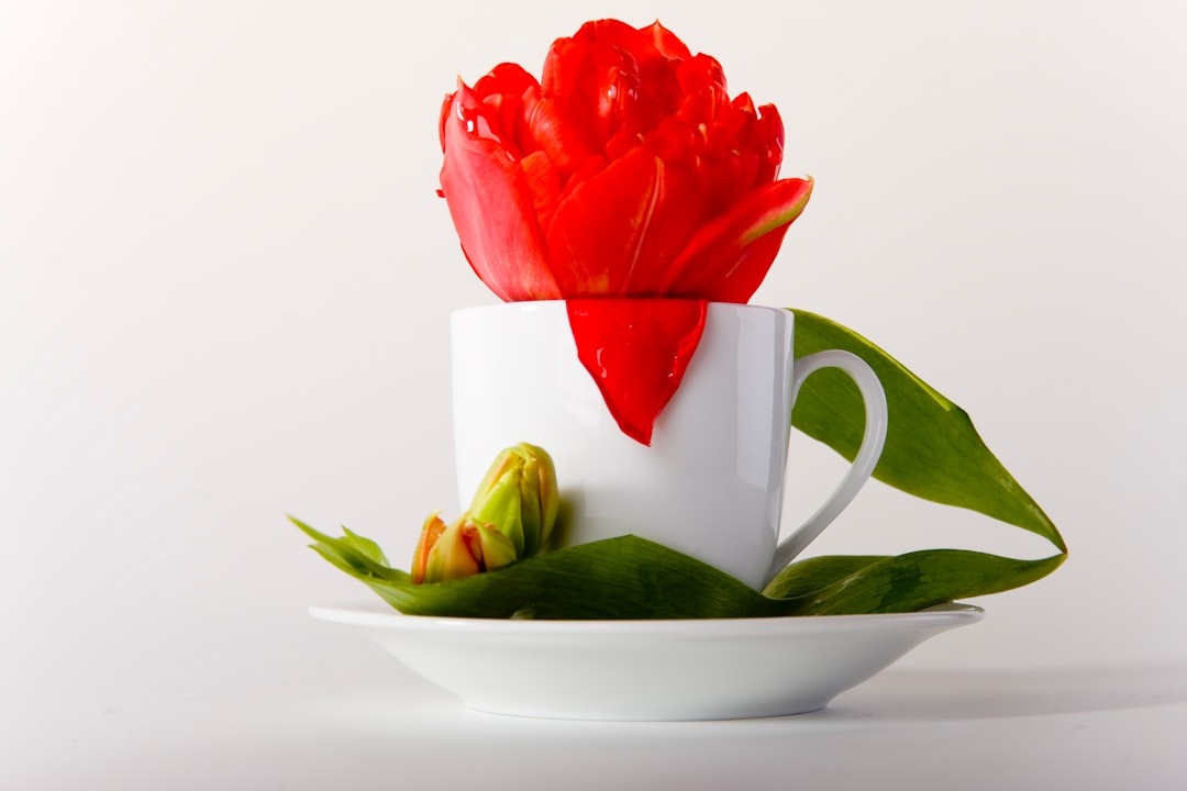 red rose on white ceramic mug