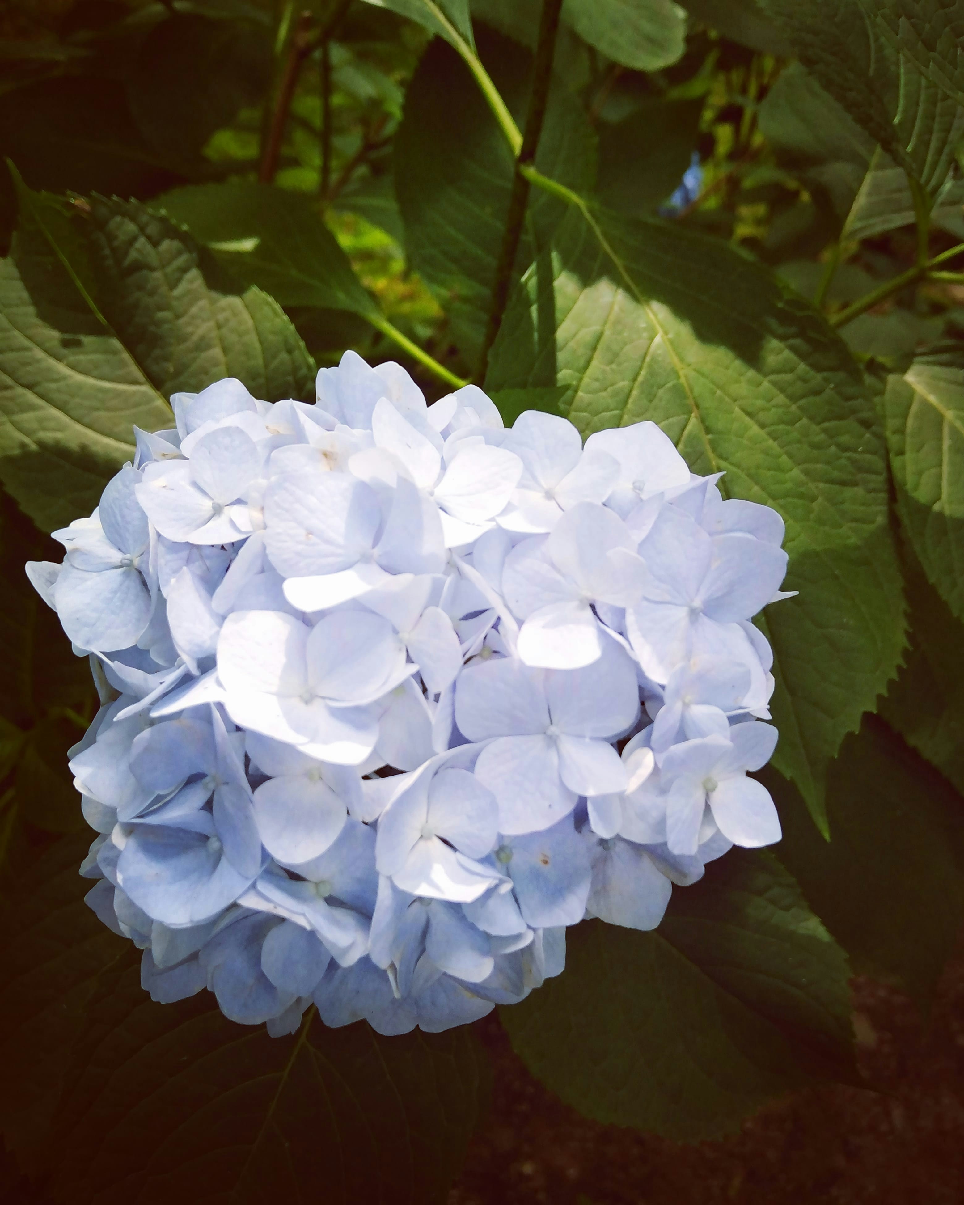 Photo by annap88